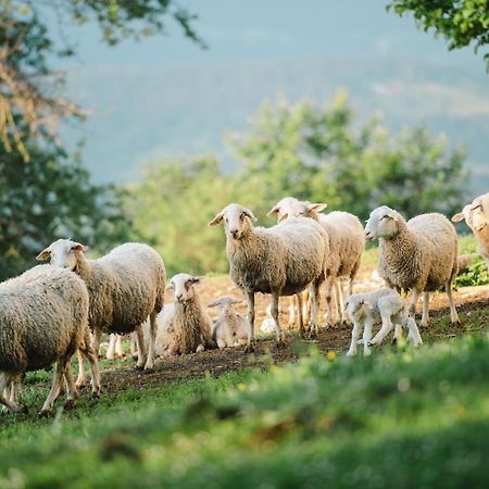 Eco Tourist Farm Ravnjak Словень-Градец Экстерьер фото