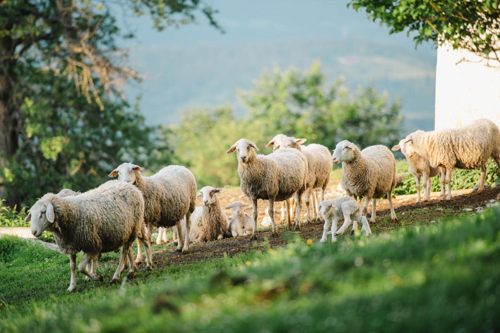 Eco Tourist Farm Ravnjak Словень-Градец Экстерьер фото